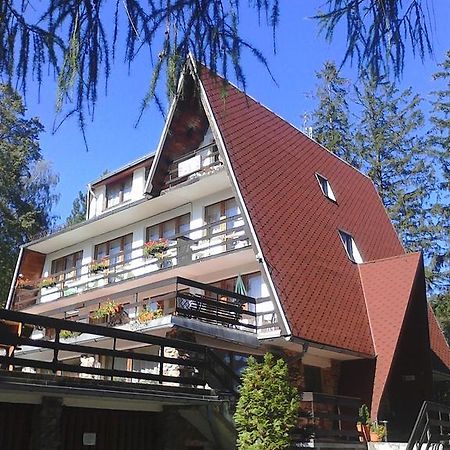 Willa Grafit Karpacz Exterior foto